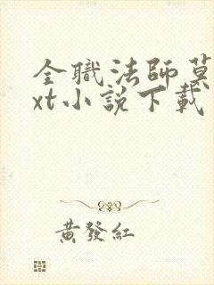 全职法师莫凡txt小说下载