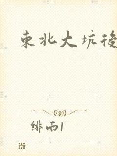 东北大坑后续2