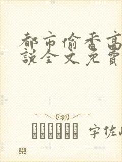 都市偷香高手小说全文免费阅读封面