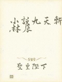 小说九天斩神诀,林辰