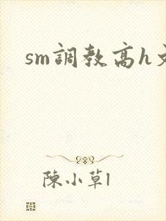 sm调教高h文封面
