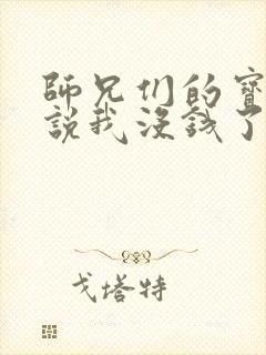 师兄们的宝贝小说我没钱了免费阅读