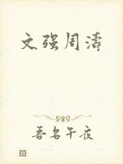 文强周涛