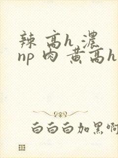 辣 高h 浓 np 肉 黄高h