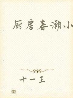 厨房春潮小说