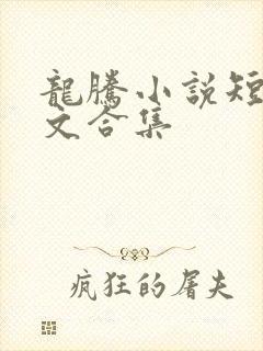 龙腾小说短篇辣文合集封面