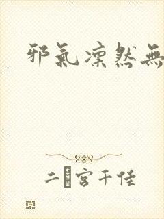 邪气凛然无弹窗封面