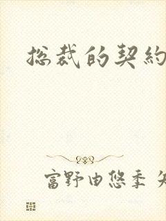 总裁的契约妻封面