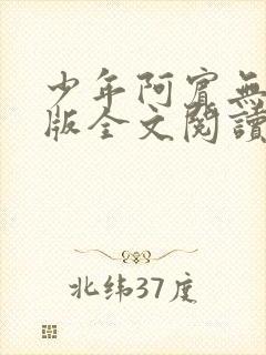 少年阿宾无删减版全文阅读