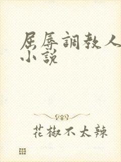 屈辱调教人妻韩小说封面