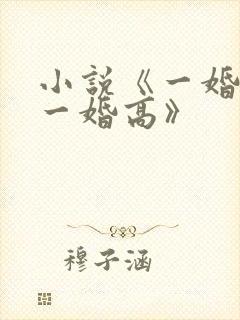 小说《一婚更比一婚高》