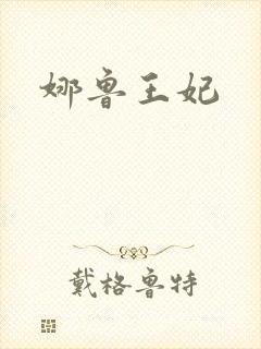 娜鲁王妃
