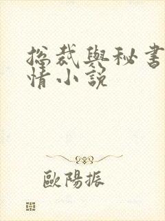 总裁与秘书的言情小说