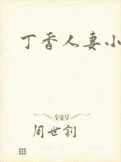 丁香人妻小说