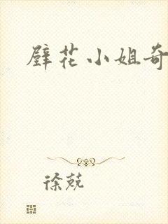 壁花小姐奇遇记封面