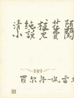 清纯校花堕落记小说免费阅读