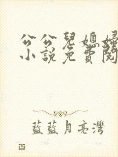 公公儿媳妇小莹小说免费阅读全文
