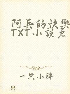 阿兵的快乐生活TXT小说免费阅读全章封面