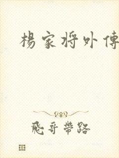 杨家将外传封面