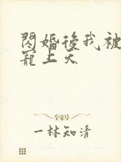 闪婚后我被大叔宠上天