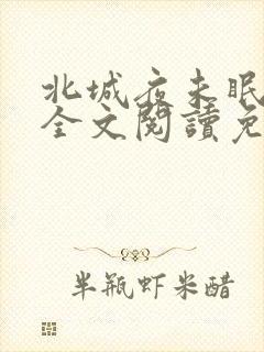 北城夜未眠小说全文阅读免费封面