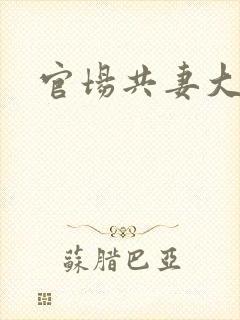 官场共妻大交换封面