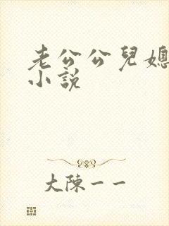 老公公儿媳妇的小说