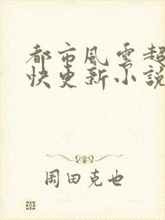 都市风云超前超快更新小说