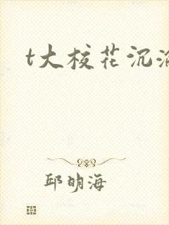 t大校花沉沦封面