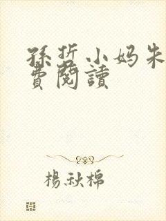 孙哲小妈朱颜免费阅读