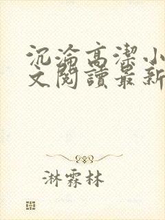 沉沦高洁小说全文阅读最新章节更新