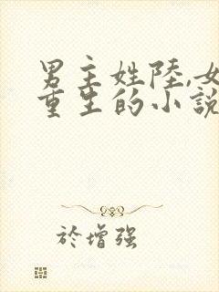 男主姓陆,女主重生的小说