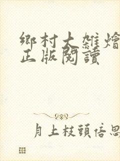 乡村大杂烩小说正版阅读封面