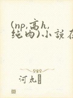 (np,高h,纯肉)小说在线阅读
