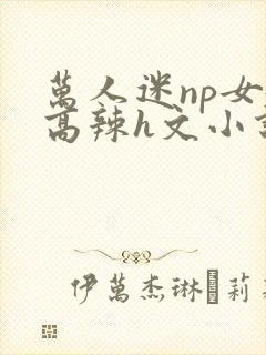 万人迷np女嬷高辣h文小说免费阅读