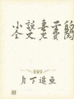 小说妻子的秘密全文免费阅读