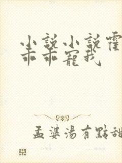 小说小说霍先生乖乖宠我