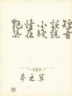 艳情小说短篇合集在线观看