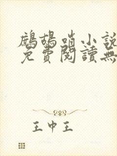 鹧鸪哨小说网站免费阅读无弹窗
