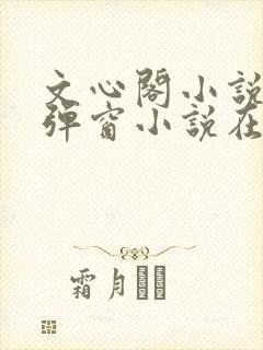 文心阁小说_无弹窗小说在线免费阅读