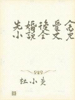 先婚后爱余慧慧小说全文免费阅读