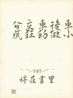 公交车后车座的疯狂的做小