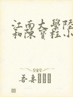 江南大学陆冰嫣和陈宝柱小说
