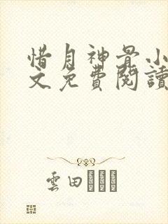惜月神骨小说全文免费阅读封面