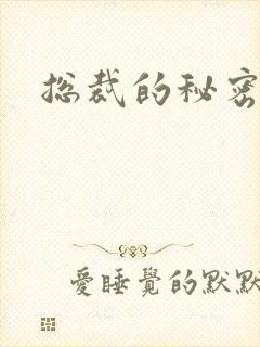 总裁的秘密情人封面