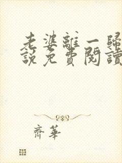 老婆离一归二小说免费阅读全文封面