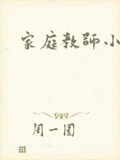 家庭教师小说