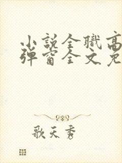 小说全职高手无弹窗全文免费阅读封面