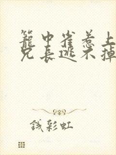 笼中雀惹上偏执兄长逃不掉结局
