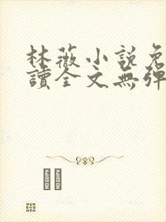 林薇小说免费阅读全文无弹窗